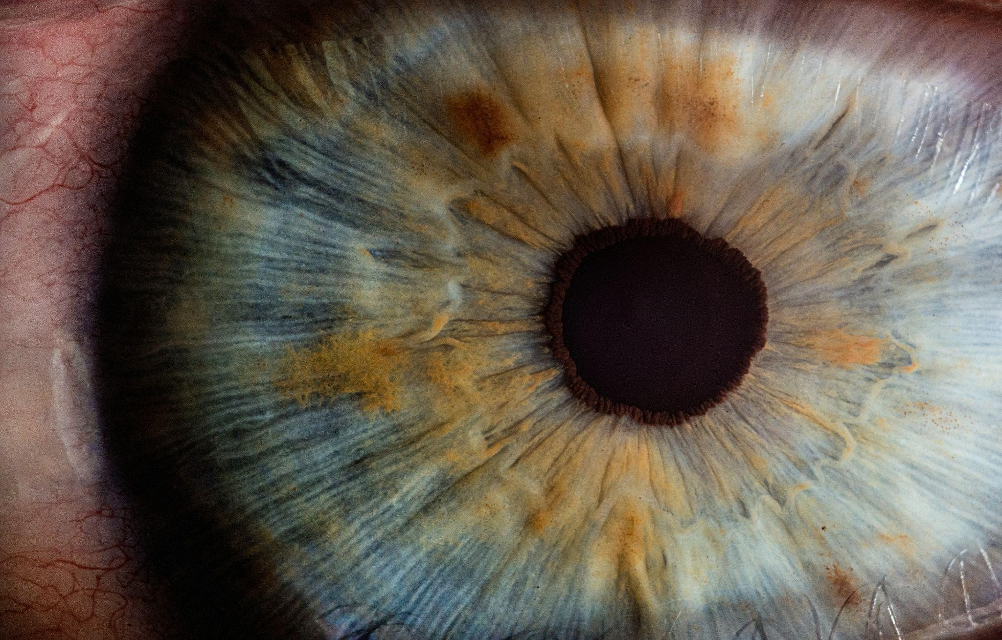 Close-up Iris for Eye Health