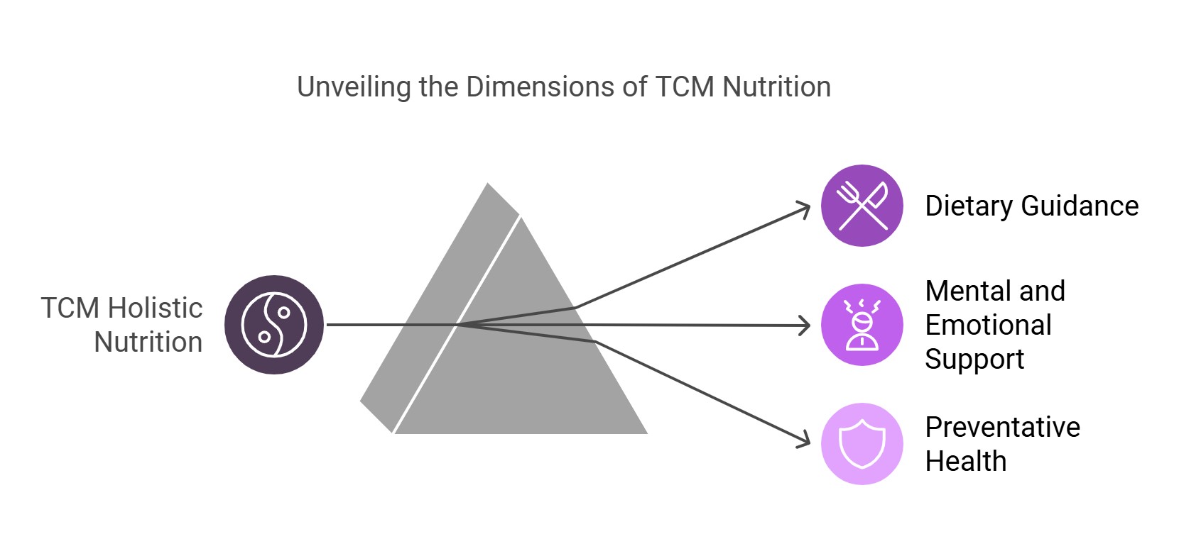 Dimensions of TCM nutrition diagram