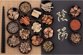 THE TOP TRADITIONAL CHINESE MEDICINE HERBS